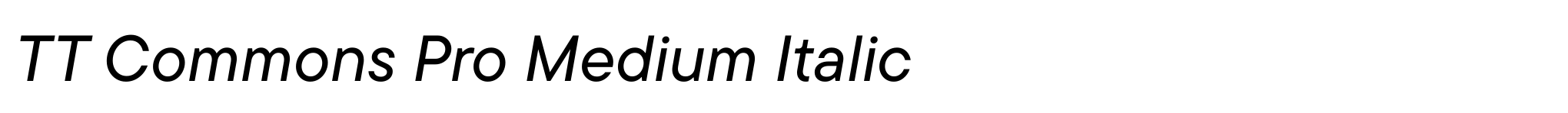 TT Commons Pro Medium Italic image